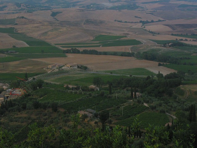./IMG_7953.JPG