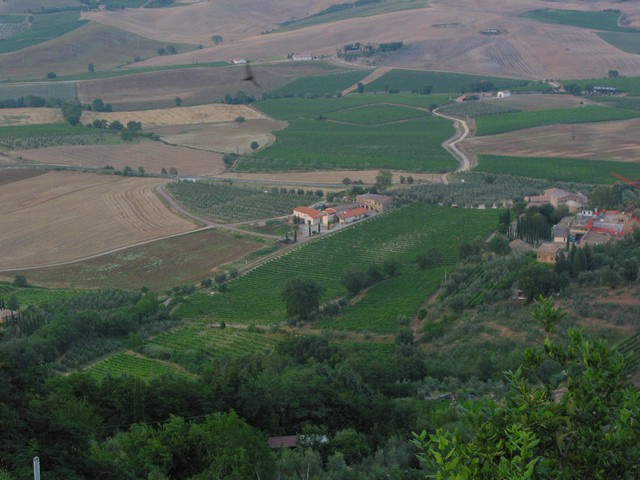 ./IMG_7955.JPG