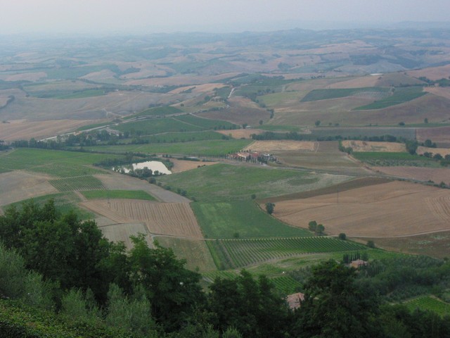 ./IMG_7956.JPG
