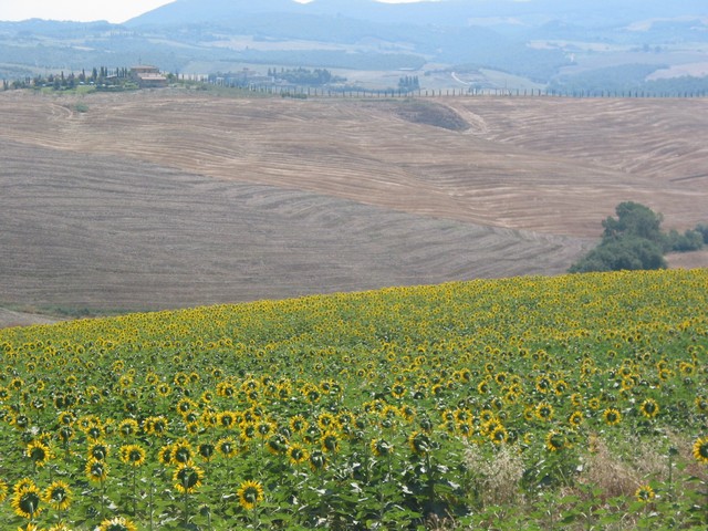 ./IMG_8008.JPG