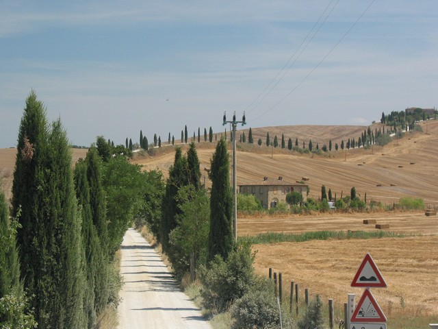 ./IMG_8011.JPG