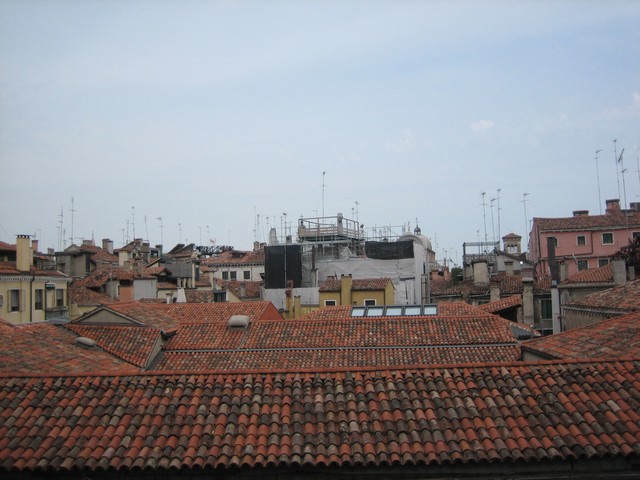 ./IMG_5061.JPG