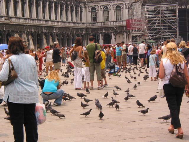 ./IMG_8061.JPG