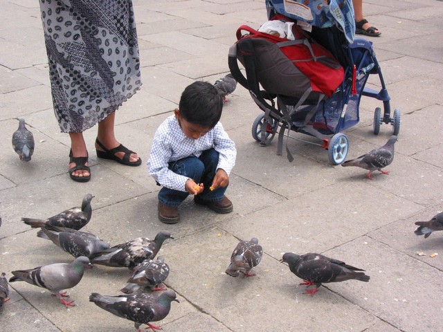 ./IMG_8078.JPG