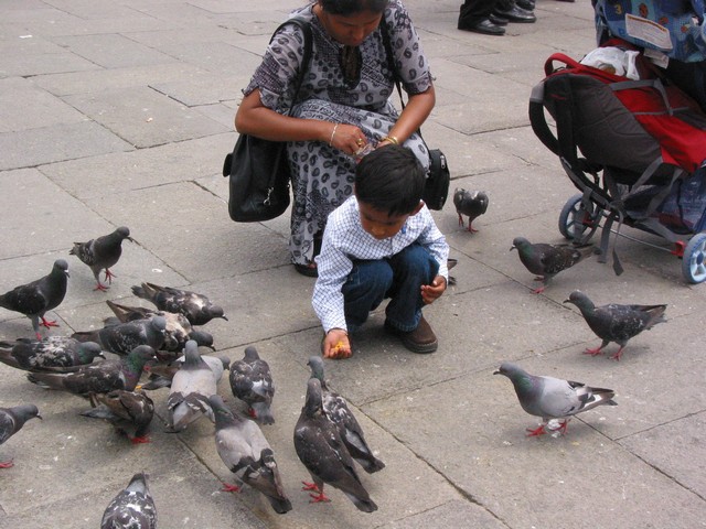./IMG_8081.JPG