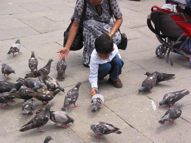 ./IMG_8082.JPG