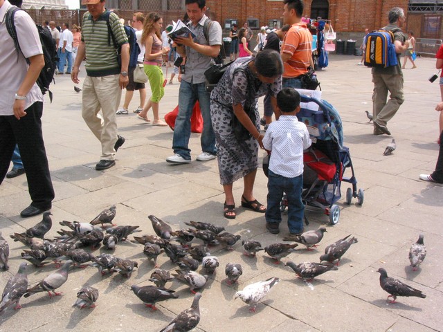 ./IMG_8085.JPG