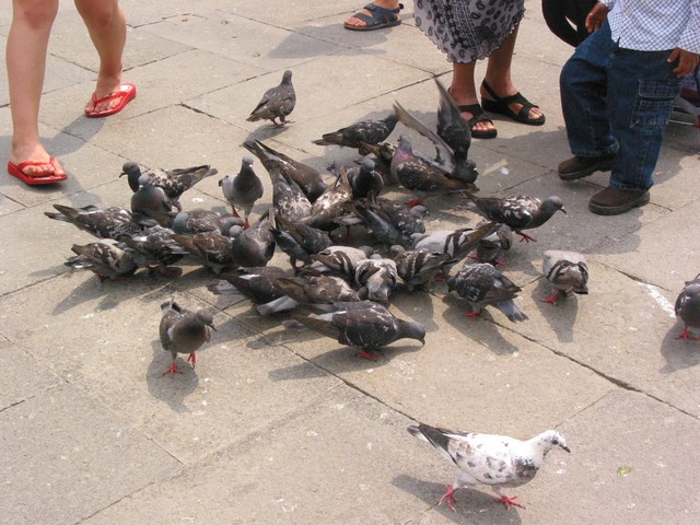 ./IMG_8086.JPG
