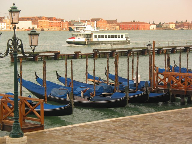 ./IMG_8144.JPG