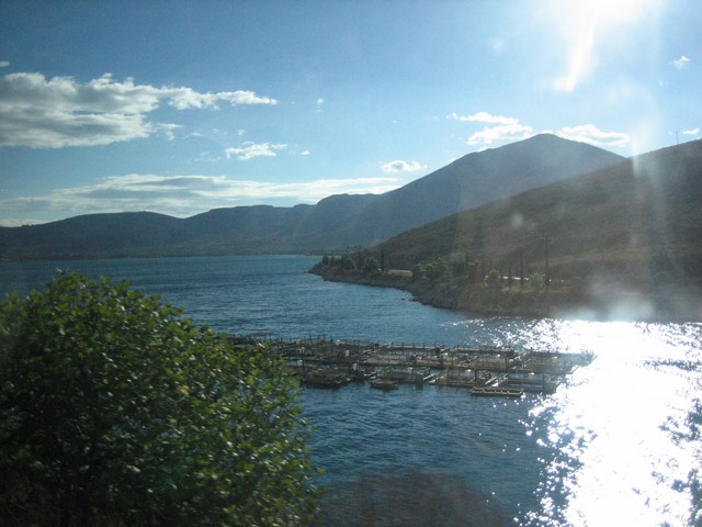 ./IMG_1003.JPG