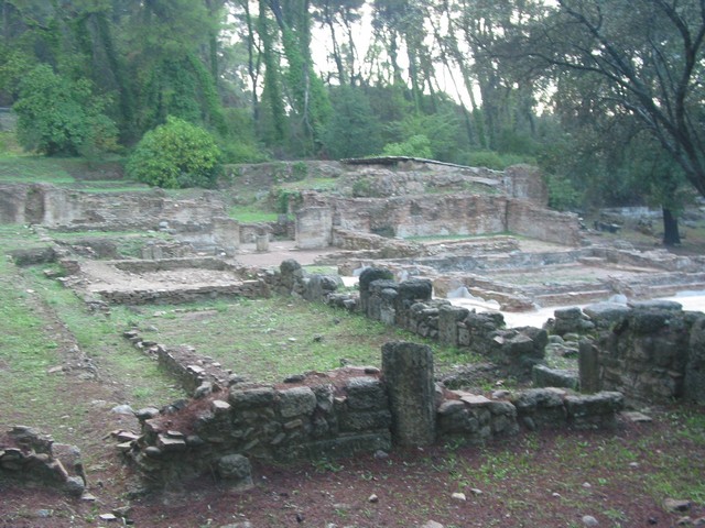 ./IMG_5535.JPG