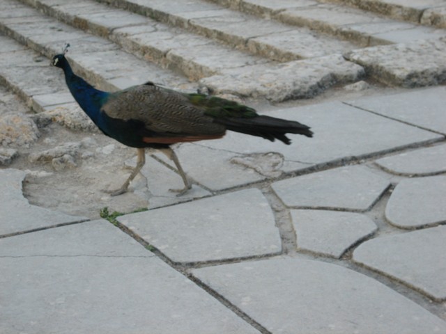 ./IMG_1097.JPG