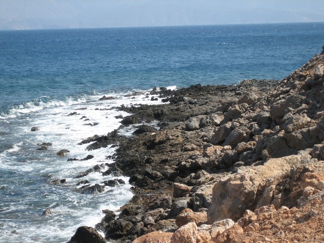 ./IMG_1138.JPG