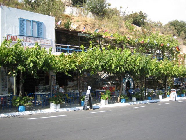 ./IMG_1236.JPG