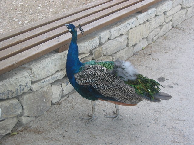 ./IMG_5678.JPG