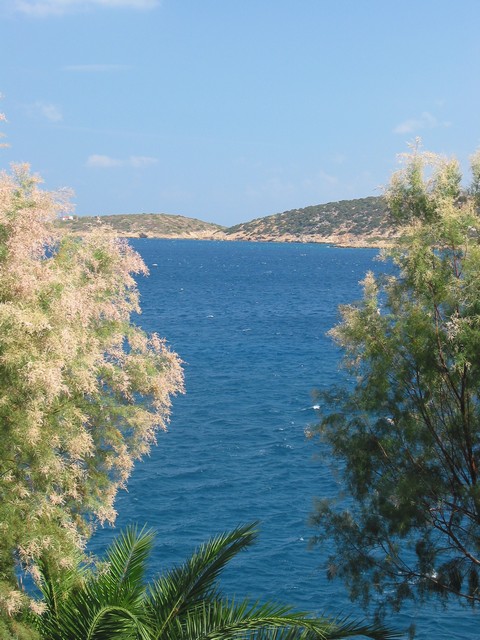 ./IMG_5690.JPG
