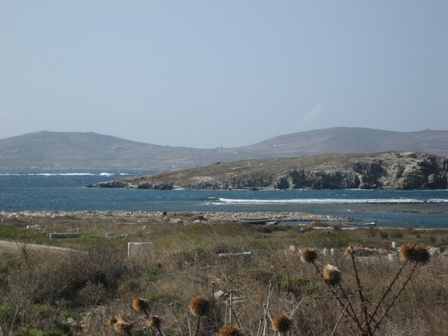 ./IMG_1668.JPG