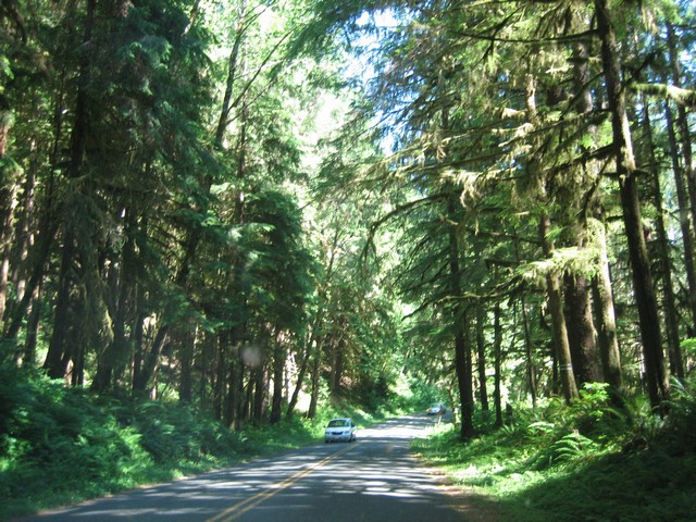 ./IMG_2740.JPG