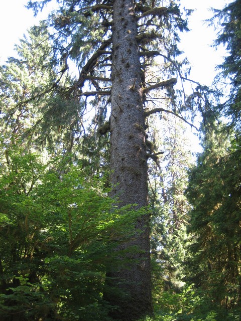 ./IMG_2742.JPG