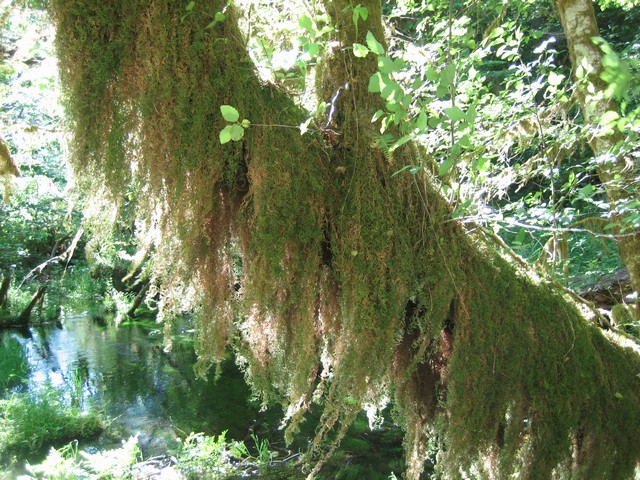 ./IMG_2746.JPG