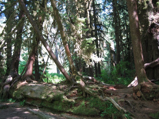 ./IMG_2758.JPG