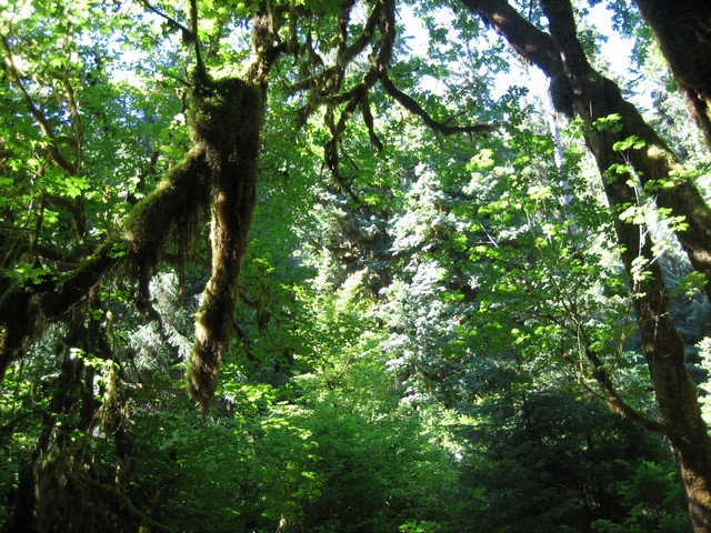 ./IMG_2769.JPG