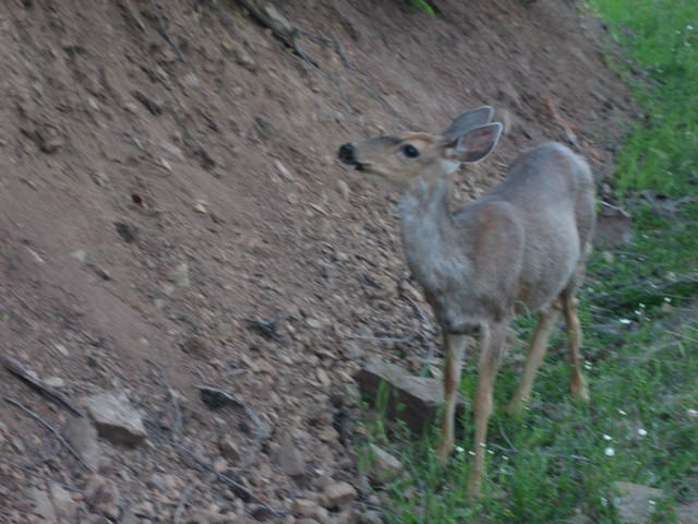 ./IMG_2793.JPG
