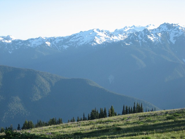 ./IMG_2803.JPG