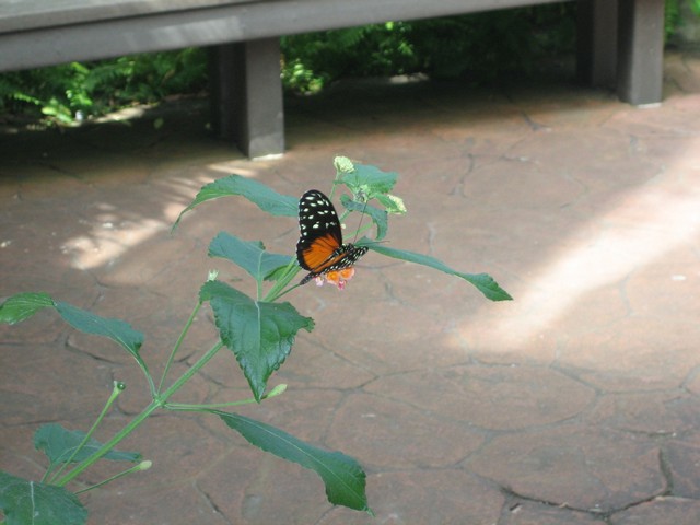 ./IMG_2862.JPG