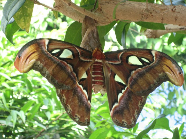 ./IMG_2868.JPG