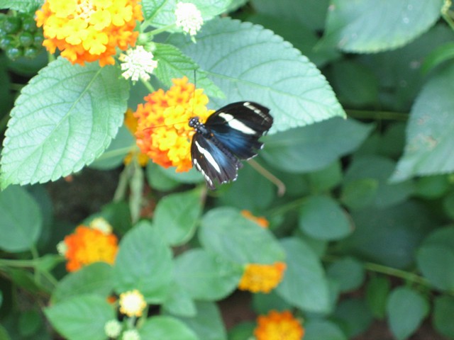 ./IMG_2879.JPG