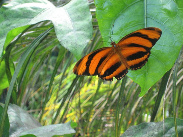 ./IMG_2897.JPG