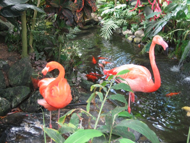 ./IMG_2902.JPG