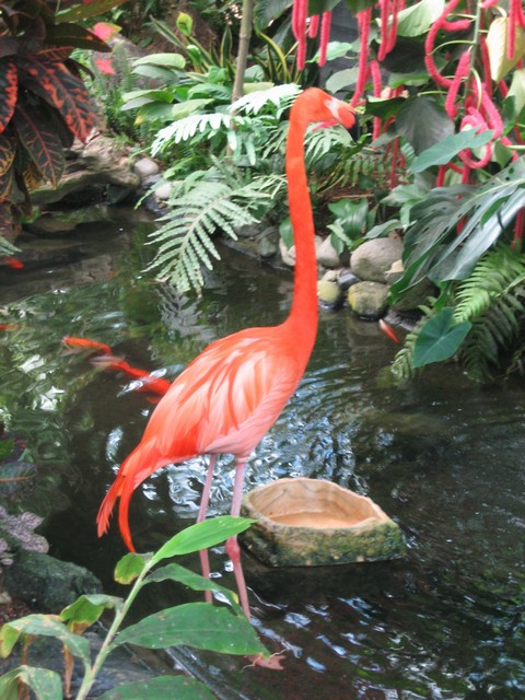 ./IMG_2908.JPG