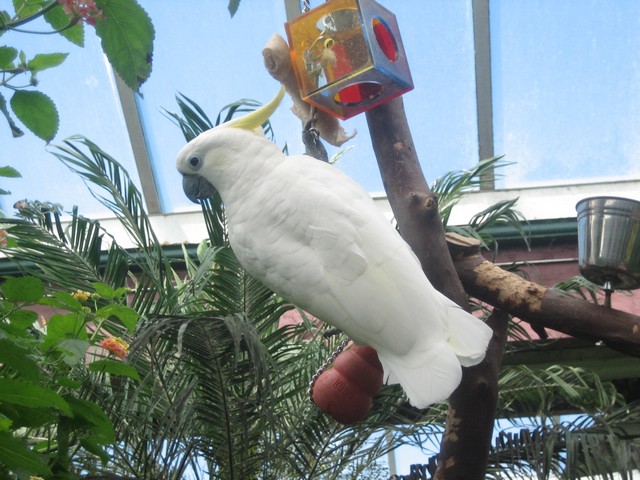 ./IMG_2918.JPG