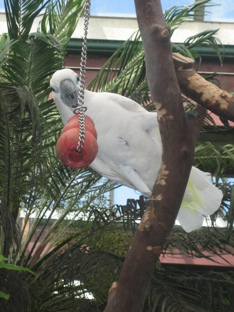./IMG_2927.JPG