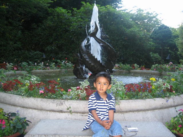 ./IMG_2946.JPG