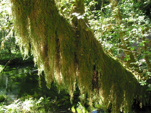 ./IMG_6638.JPG
