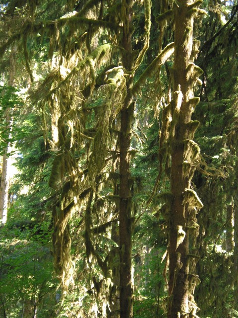 ./IMG_6645.JPG