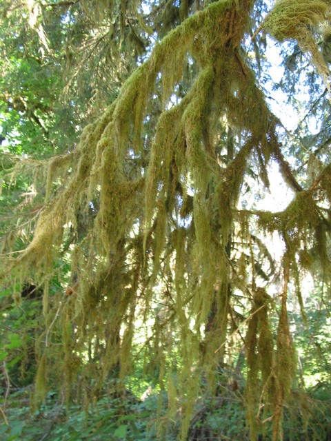 ./IMG_6647.JPG