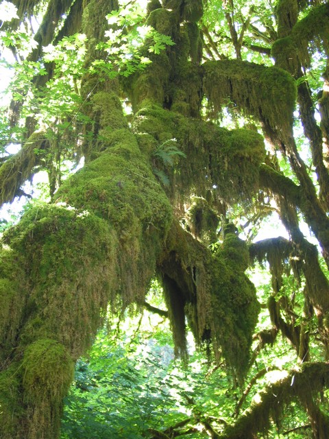./IMG_6650.JPG