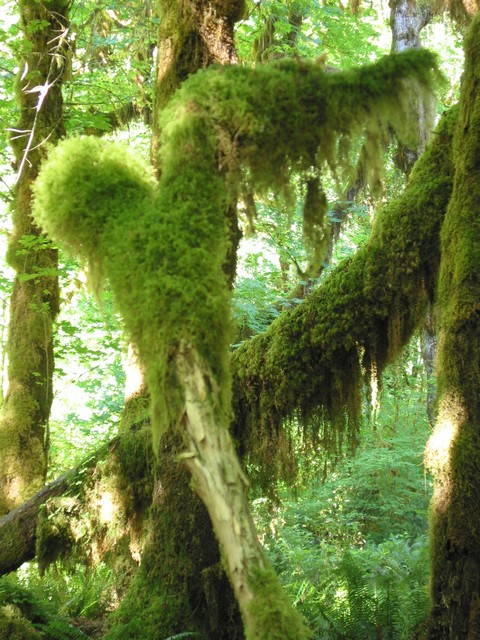 ./IMG_6653.JPG