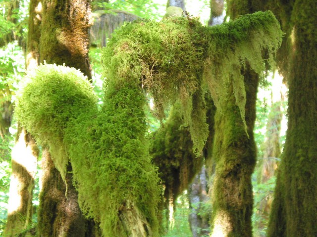./IMG_6654.JPG