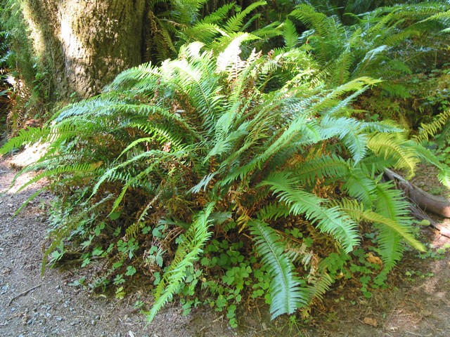 ./IMG_6655.JPG