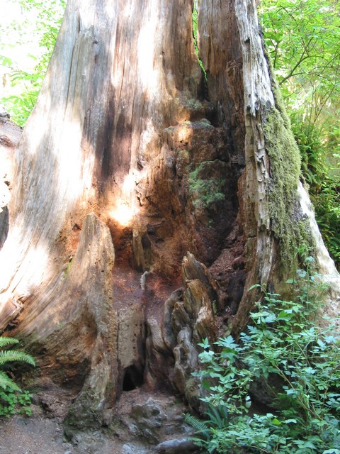 ./IMG_6659.JPG