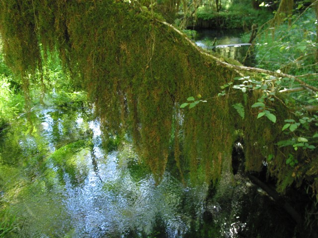./IMG_6663.JPG
