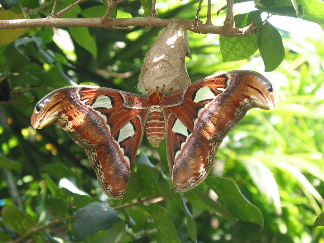 ./IMG_6714.JPG
