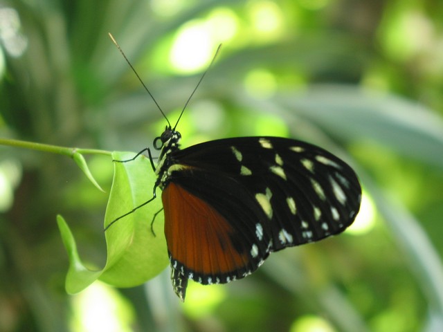 ./IMG_6718.JPG