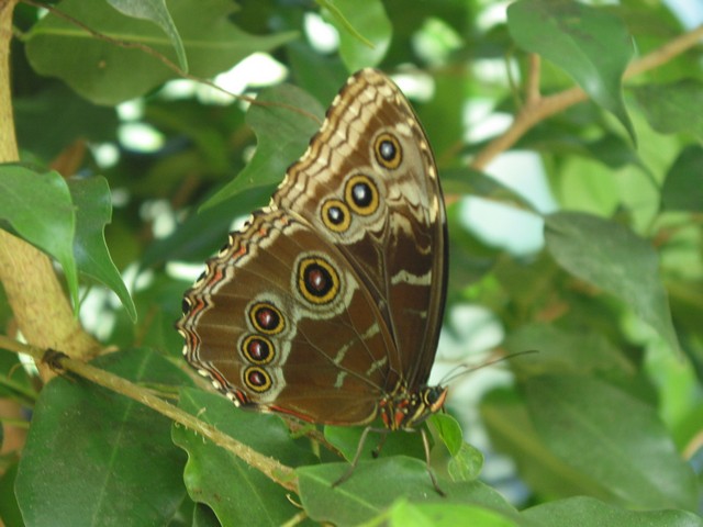 ./IMG_6720.JPG