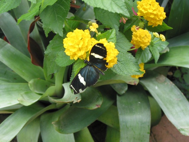 ./IMG_6727.JPG